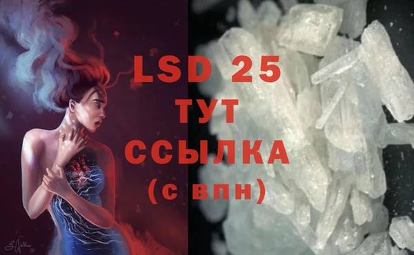 стаф Богородицк