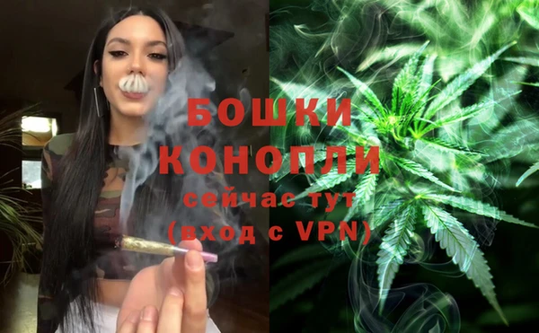 тгк Богородск