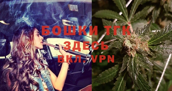 стаф Богородицк