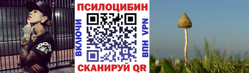 Галлюциногенные грибы Cubensis  МЕГА   Дивногорск 